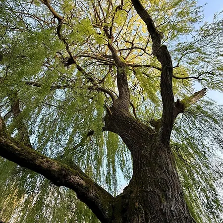 Le Domaine Des Prés Du Hom Bed & Breakfast